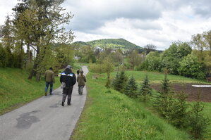 an2_031013.jpg