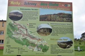 an2_031032.jpg