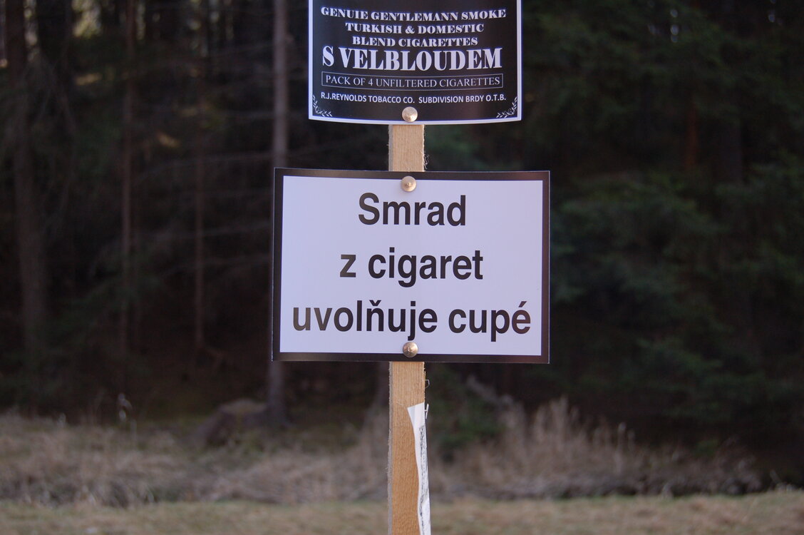 an1_031595.jpg