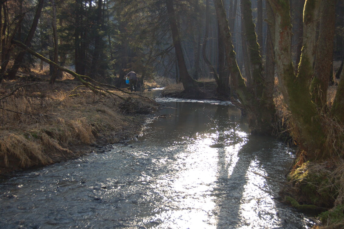 an1_031615.jpg