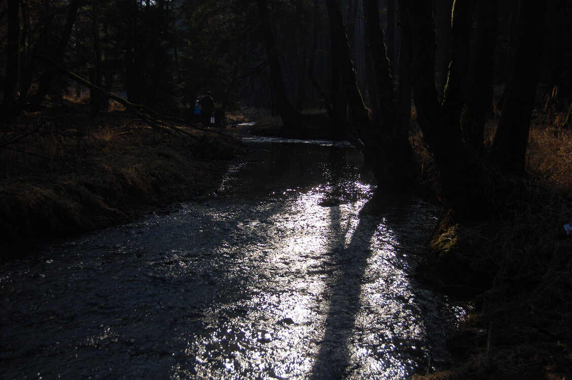 an1_031616.jpg