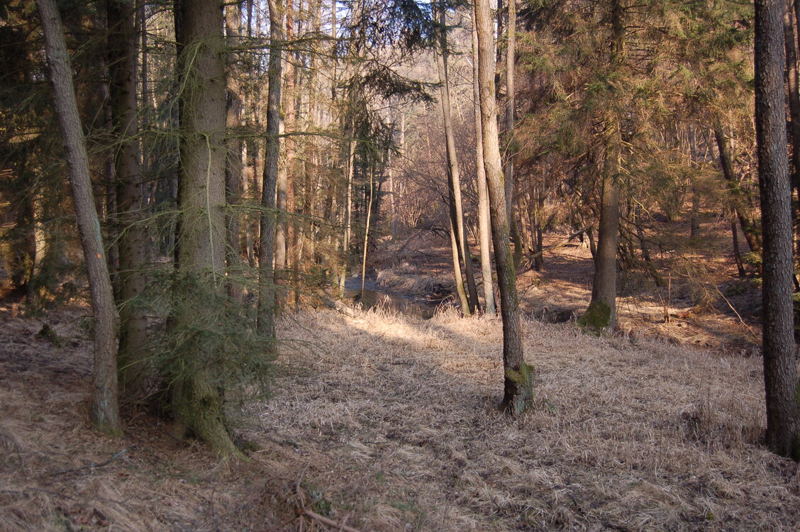 an1_031617.jpg