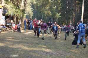 an1_031590.jpg