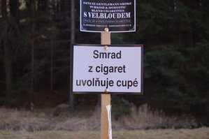 an1_031595.jpg