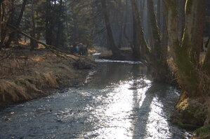 an1_031615.jpg