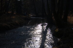 an1_031616.jpg