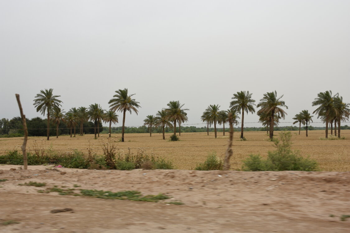 DSC_2589.JPG