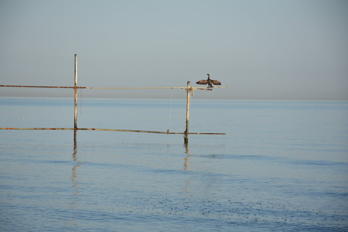 DSC_3253.JPG