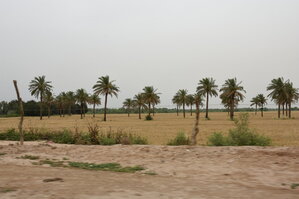 DSC_2589.JPG