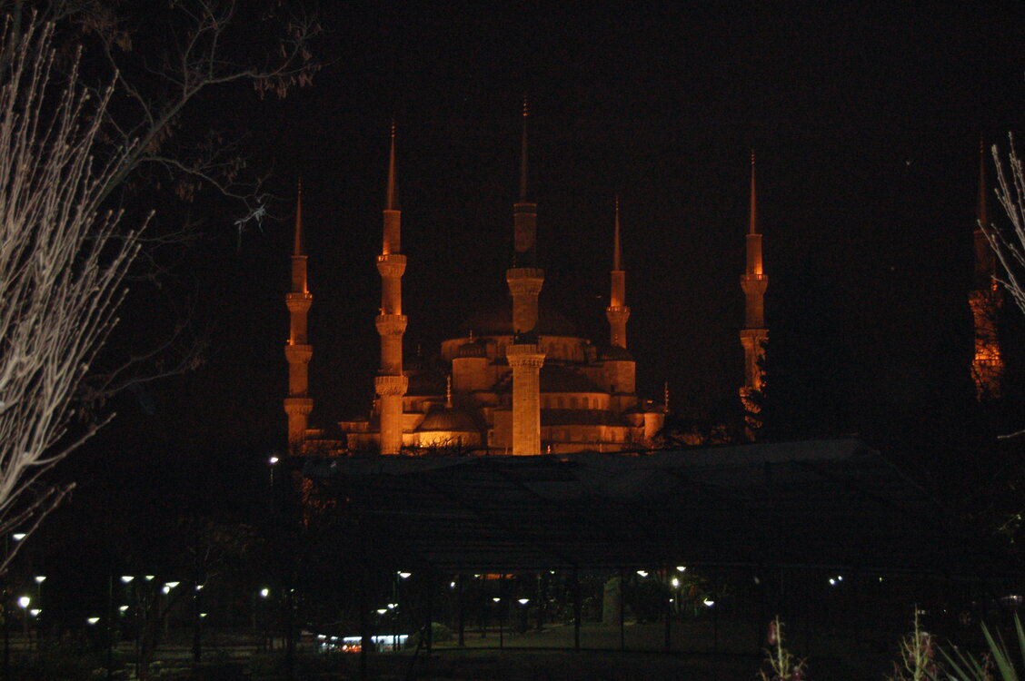 an1_010782.jpg