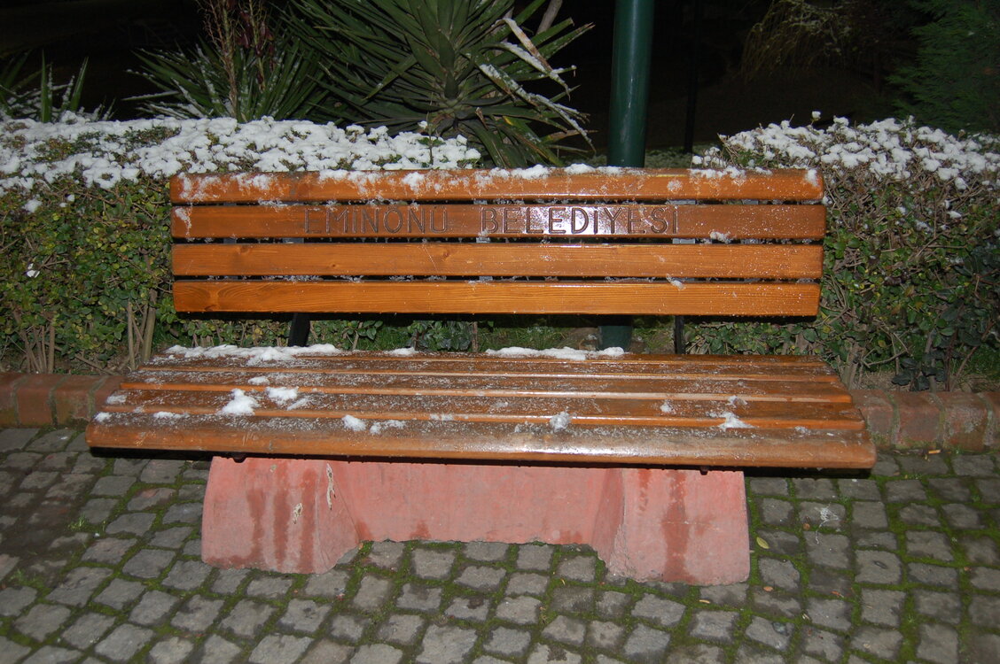 an1_010785.jpg