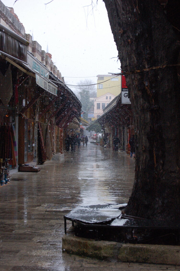 an1_010793.jpg