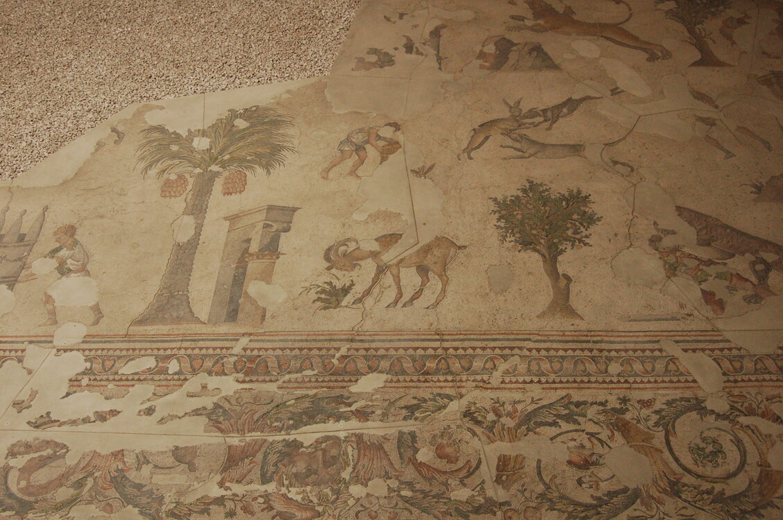 an1_010796.jpg