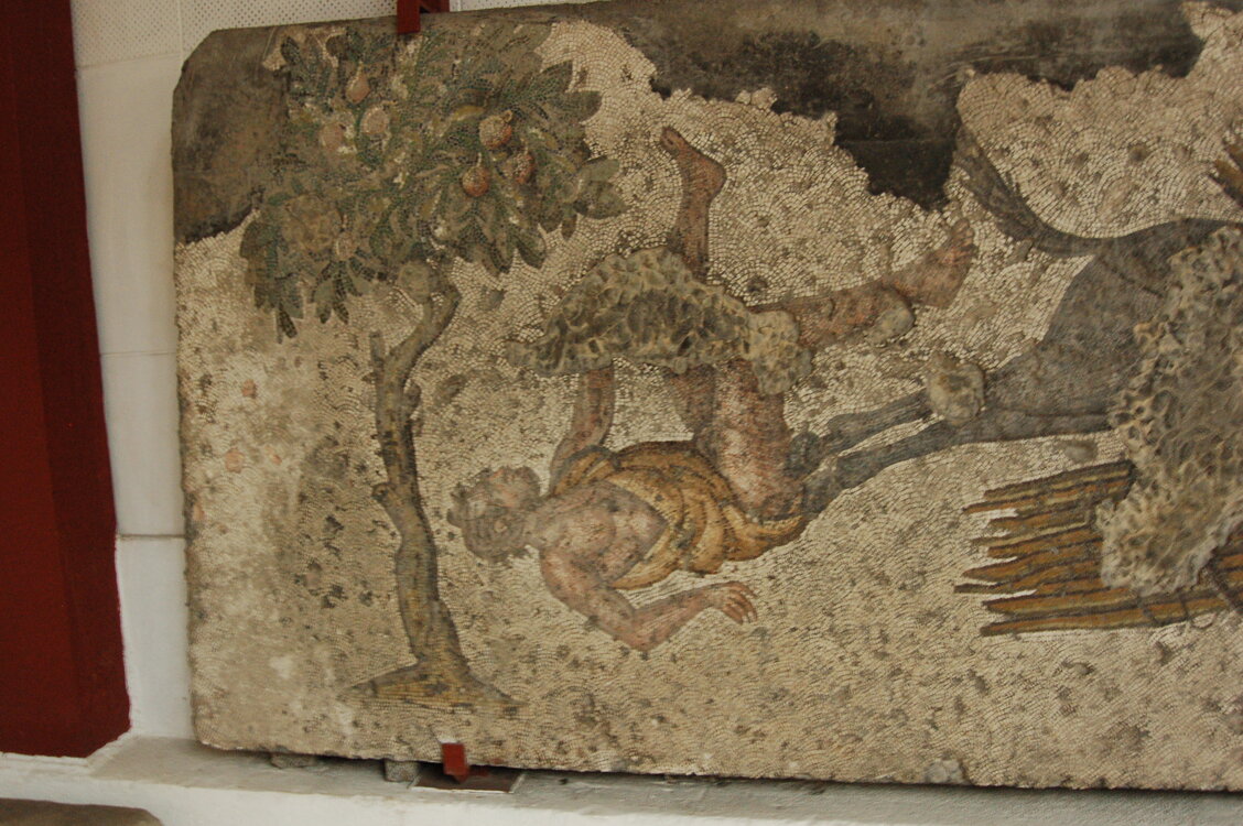 an1_010800.jpg
