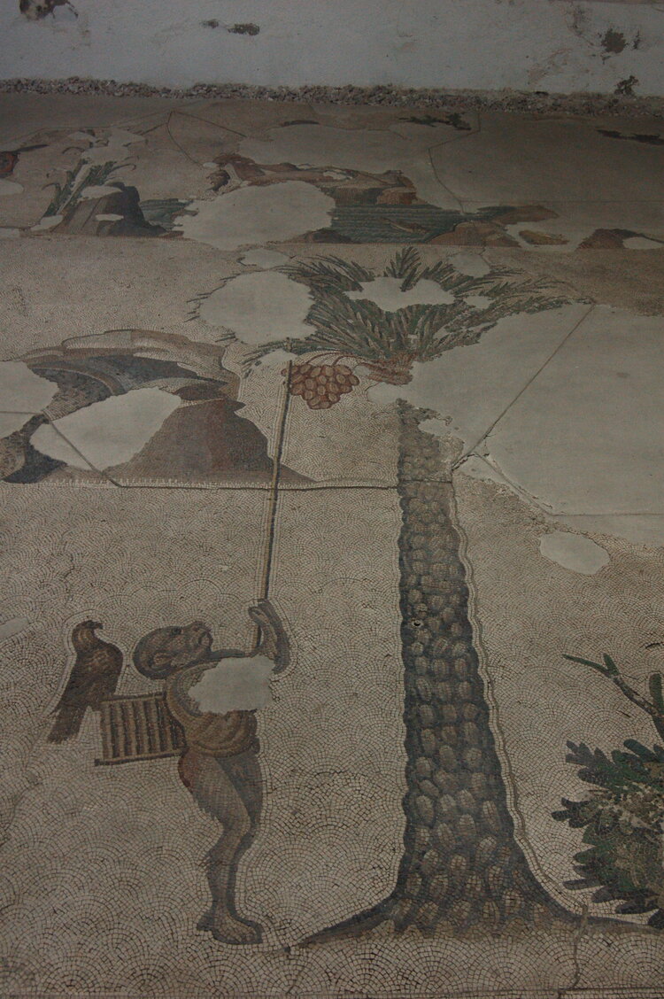 an1_010806.jpg