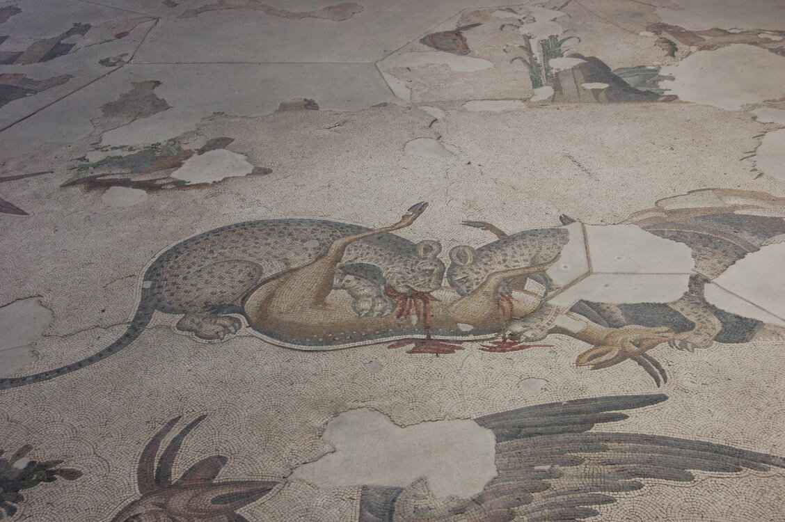 an1_010807.jpg