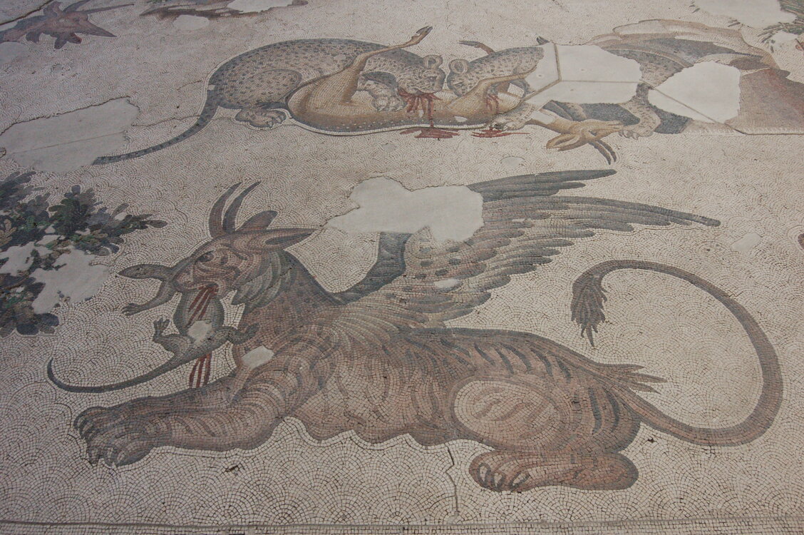 an1_010808.jpg