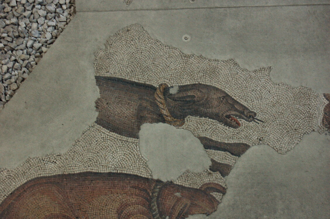 an1_010810.jpg