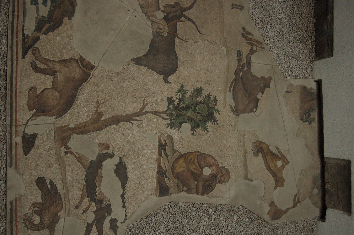 an1_010813.jpg