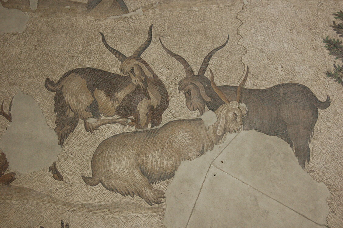 an1_010814.jpg