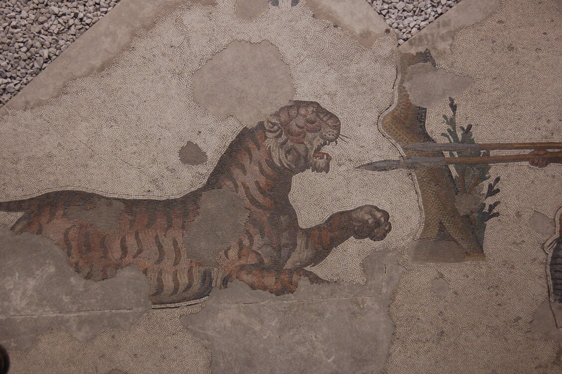 an1_010819.jpg