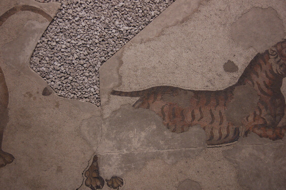 an1_010820.jpg