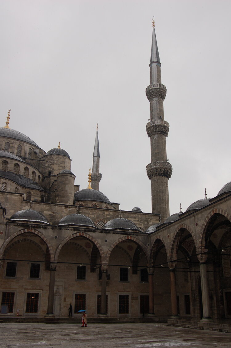 an1_010831.jpg