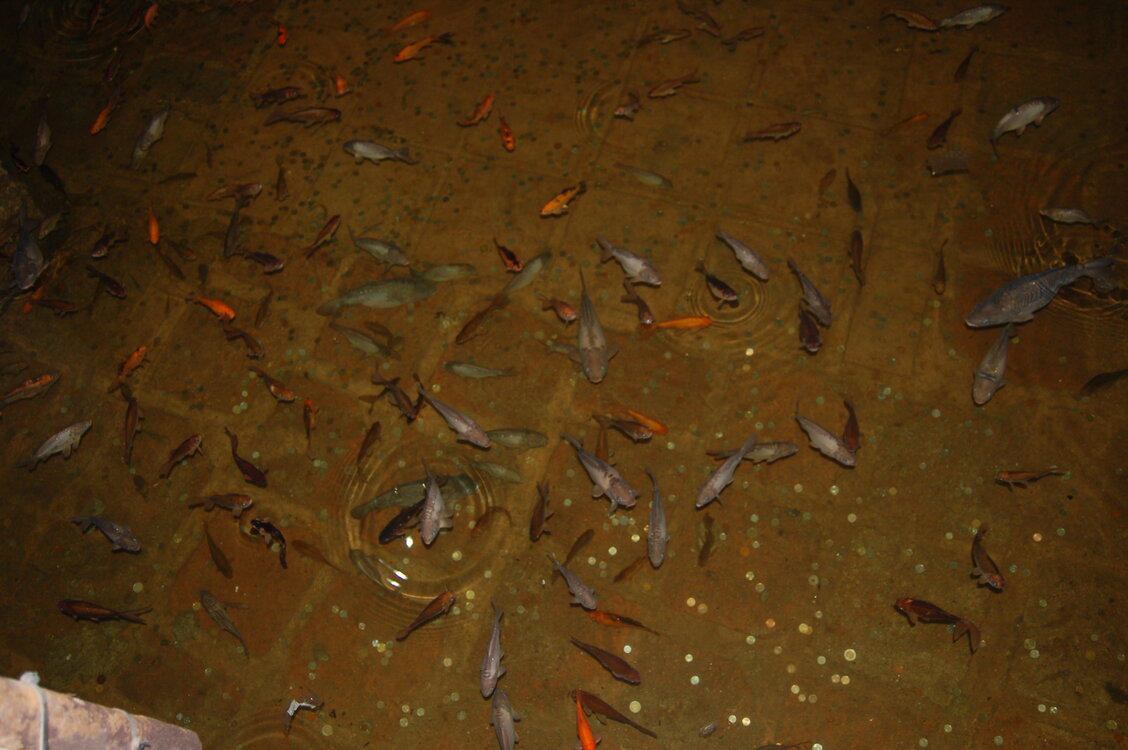 an1_010881.jpg