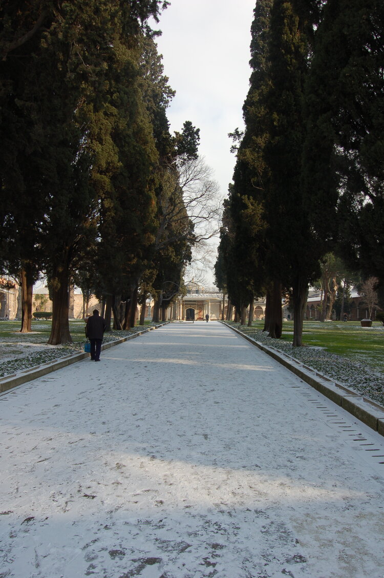 an1_011009.jpg