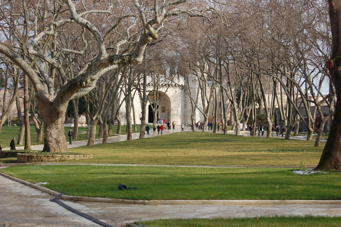 an1_011165.jpg