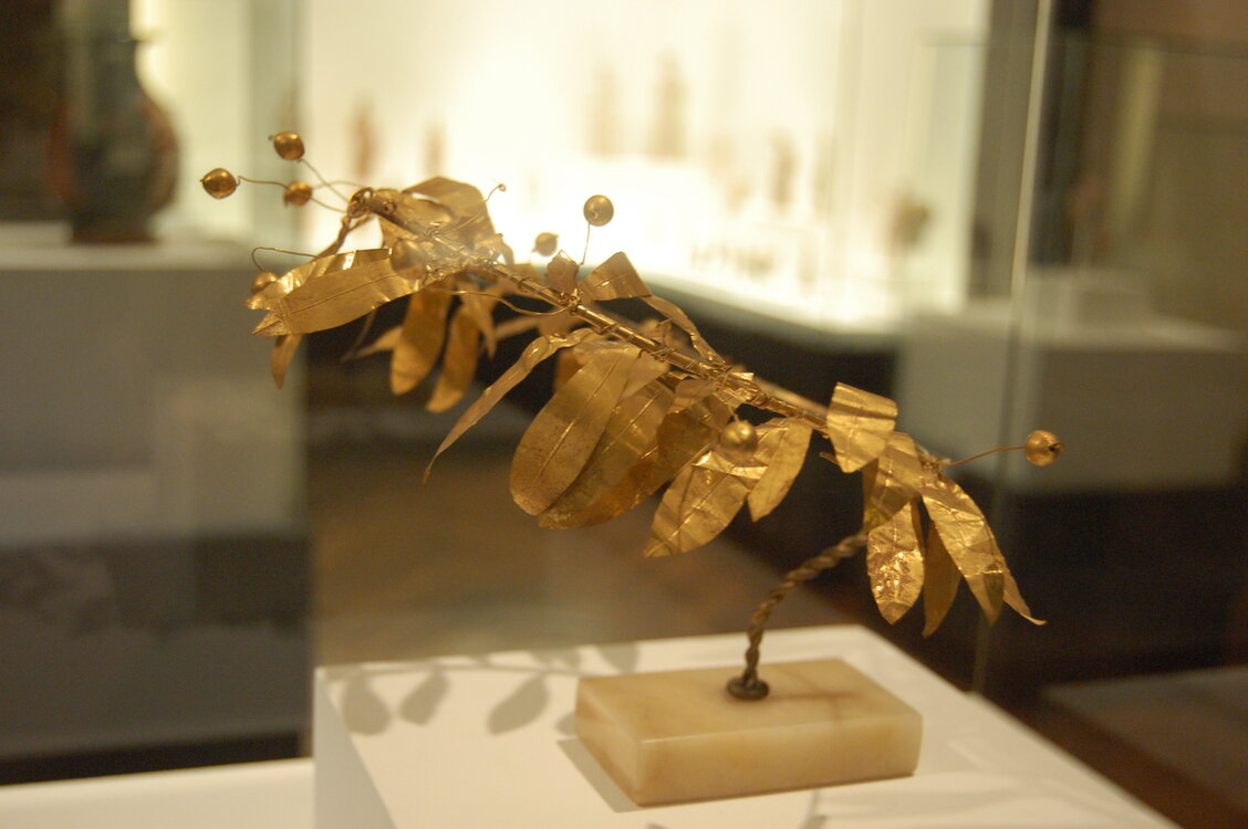 an1_011212.jpg