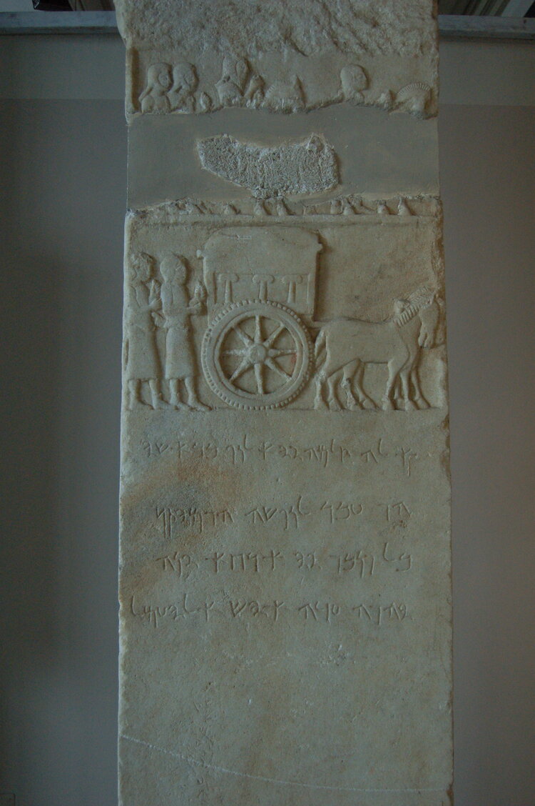 an1_011222.jpg