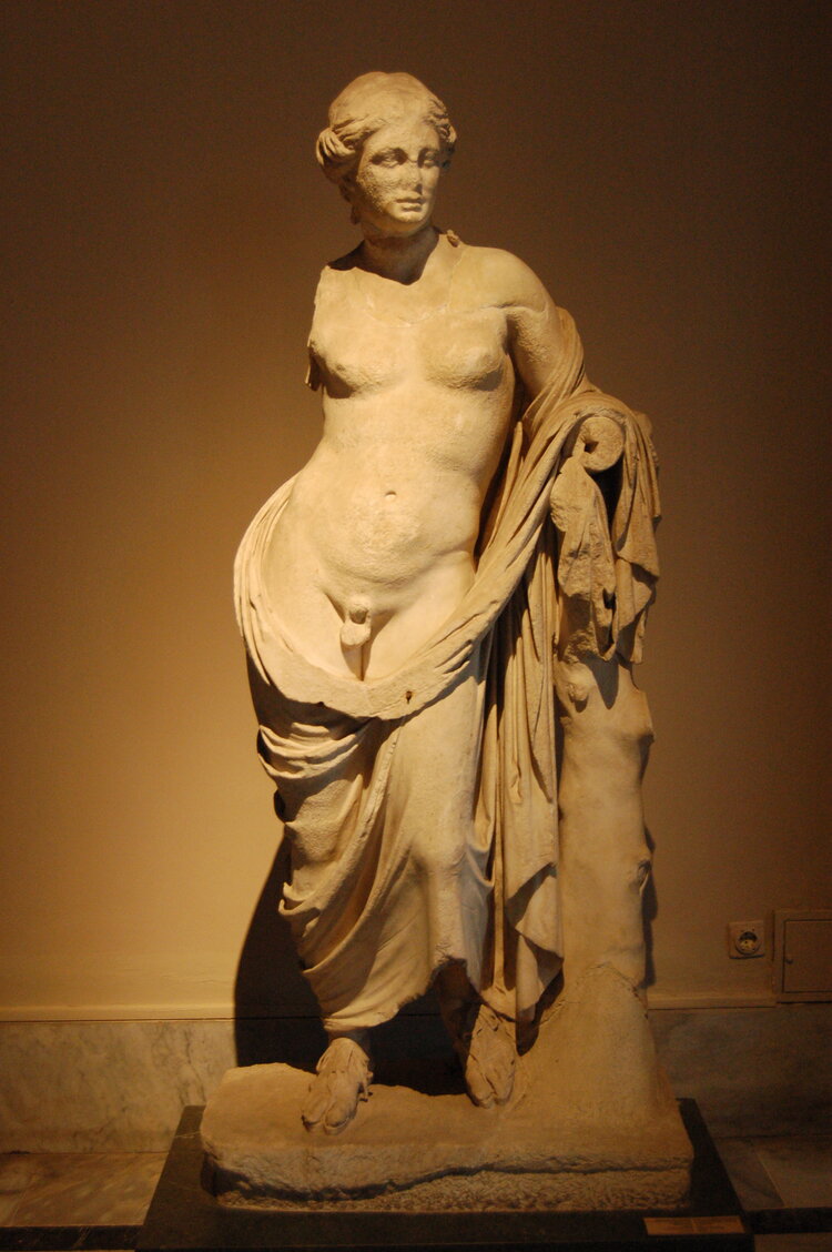 an1_011229.jpg