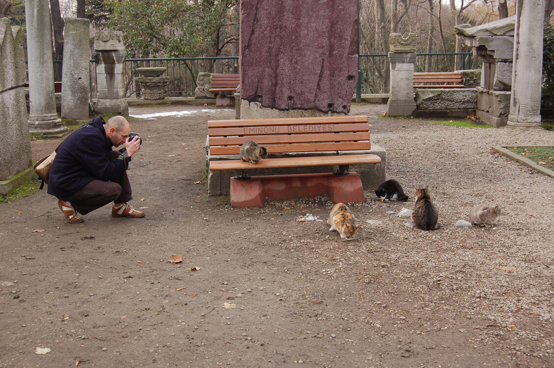 an1_011234.jpg