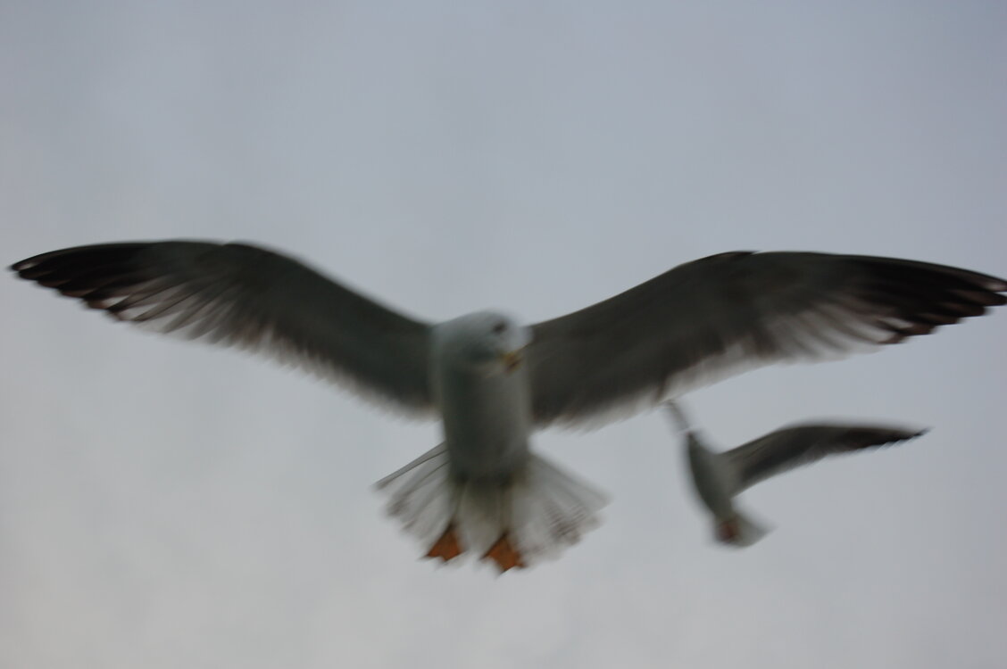 an1_011251.jpg