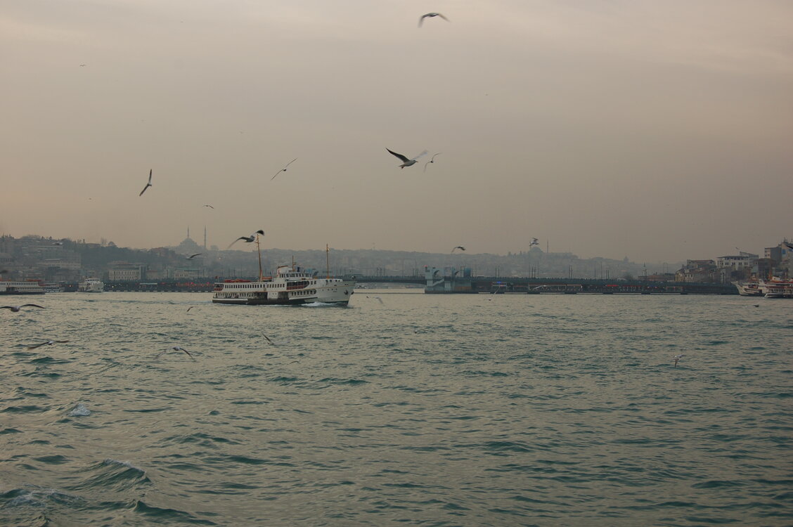 an1_011259.jpg