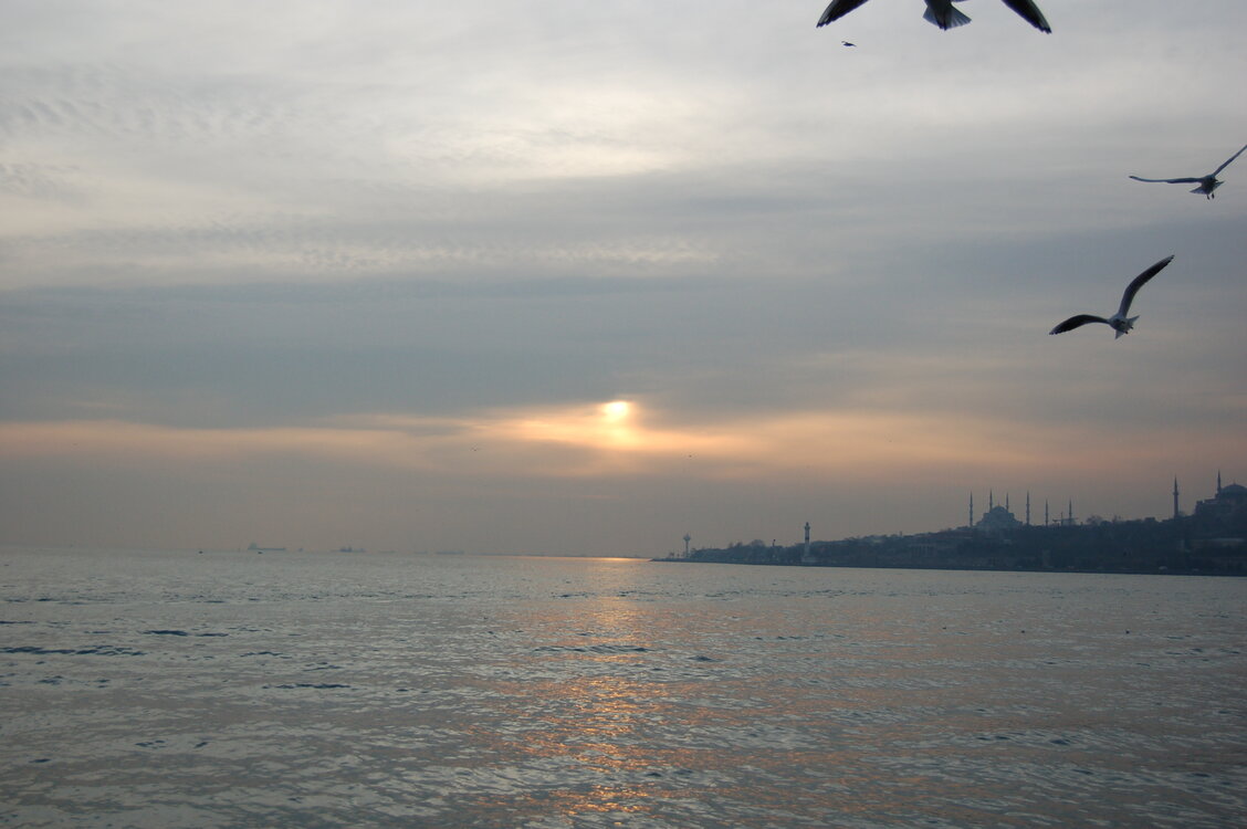 an1_011263.jpg