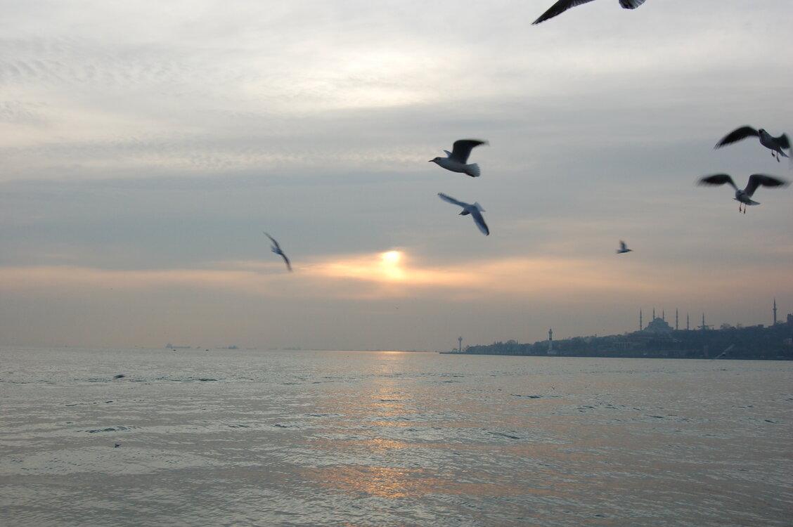 an1_011264.jpg