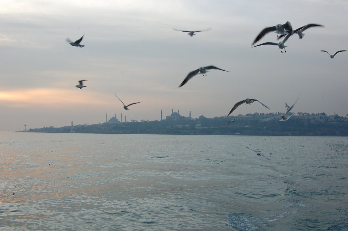an1_011265.jpg