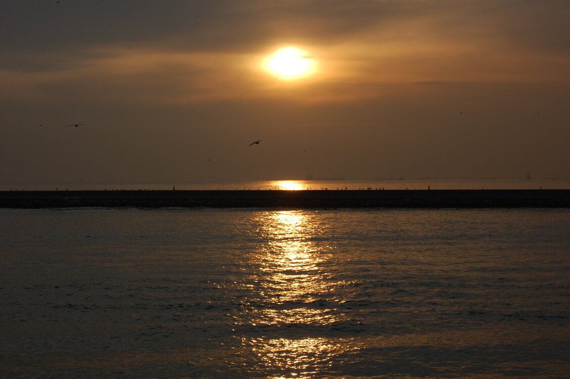 an1_011270.jpg