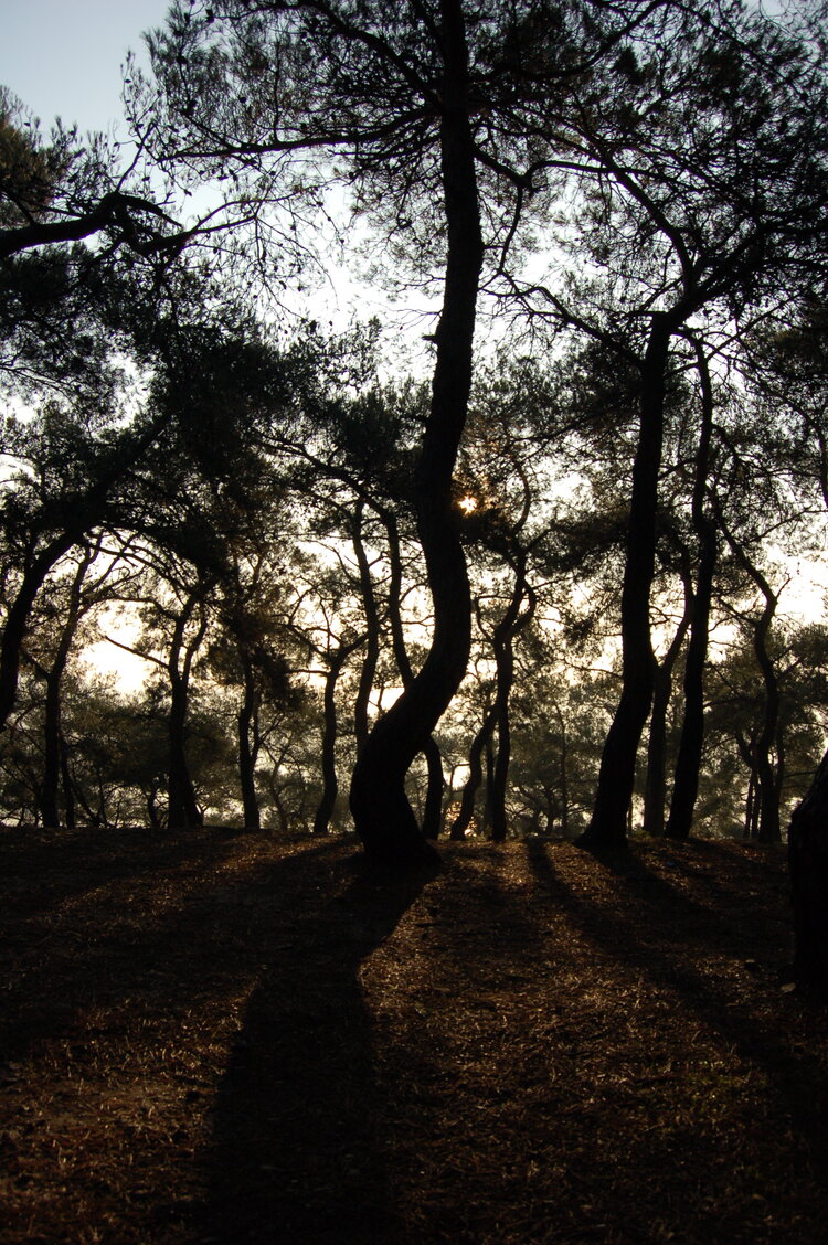 an1_011292.jpg