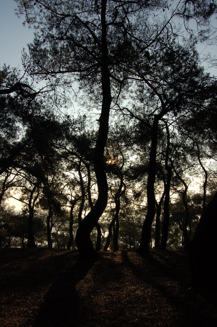 an1_011293.jpg