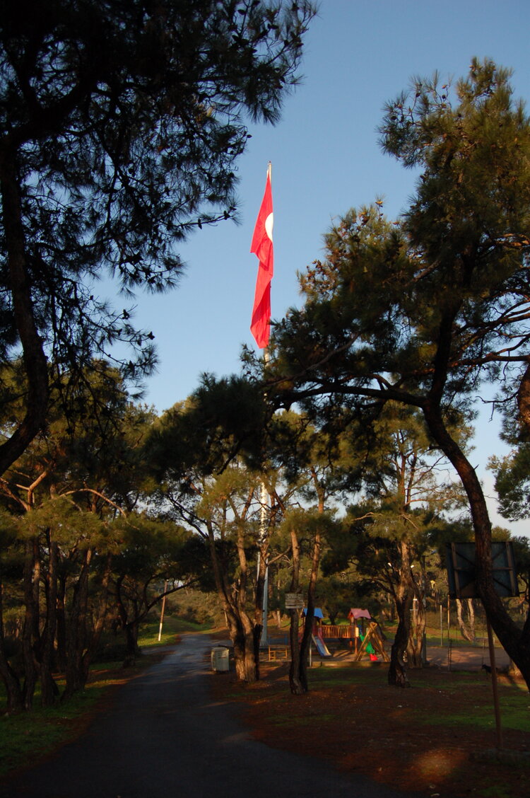an1_011298.jpg