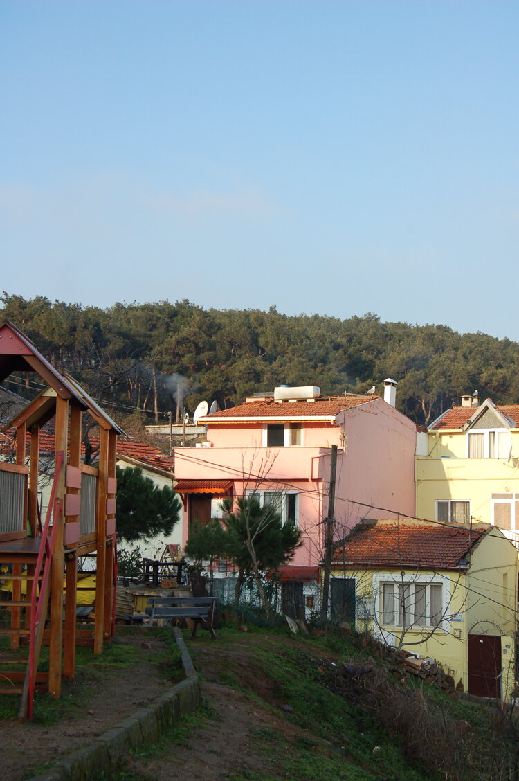 an1_011302.jpg