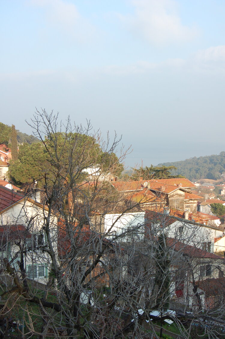 an1_011304.jpg