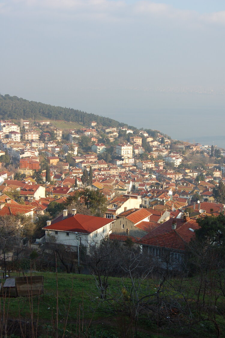 an1_011306.jpg