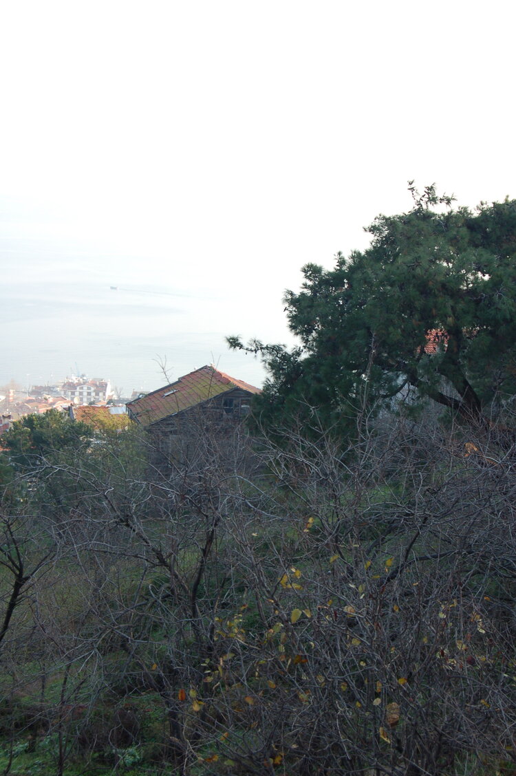 an1_011308.jpg