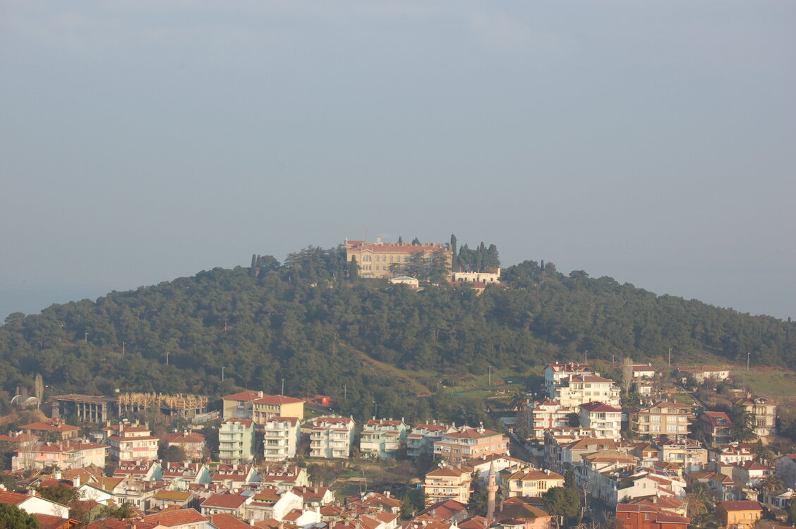 an1_011309.jpg