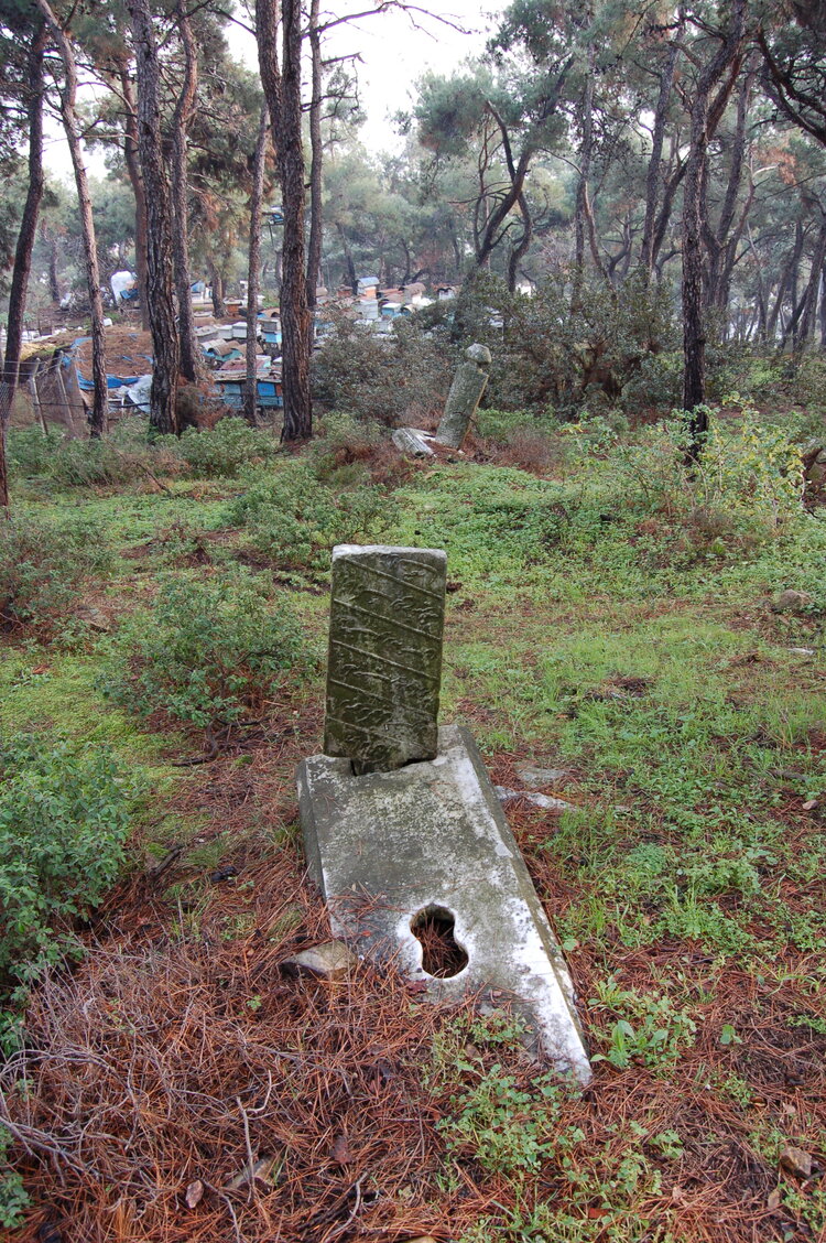 an1_011310.jpg