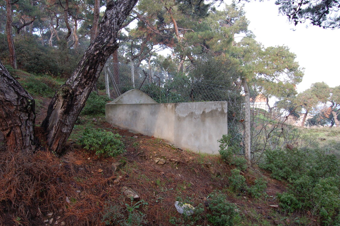 an1_011311.jpg